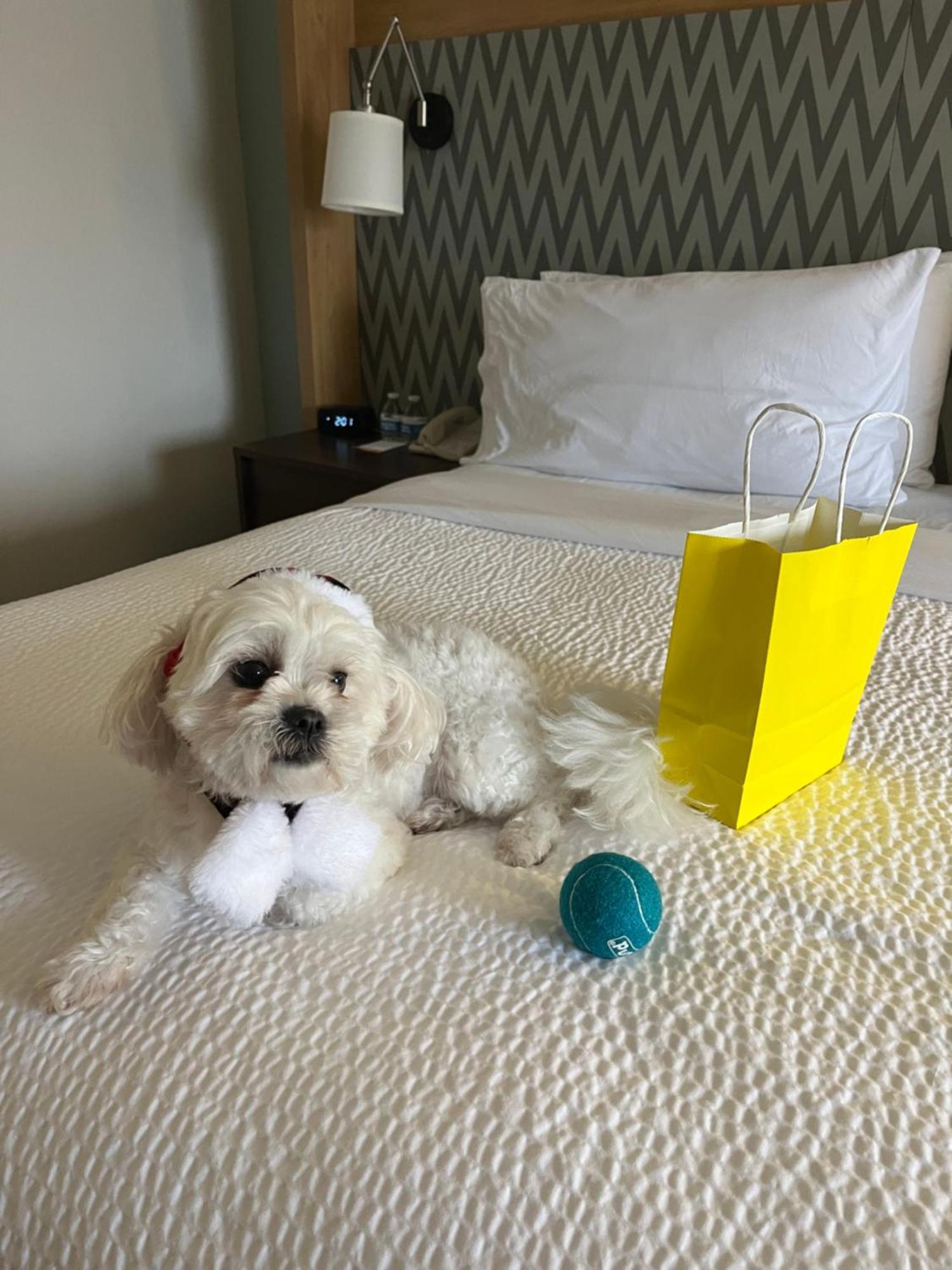 Holiday Inn Orlando International Airport By Ihg Εξωτερικό φωτογραφία